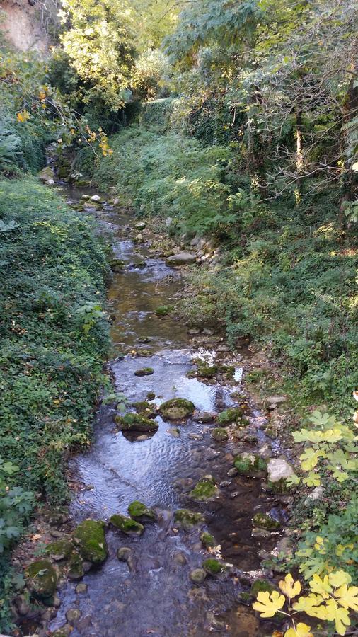 Moulin Des Eaux Vives Grasse Bagian luar foto